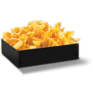 frite cheddar japanose et bacon (copie)