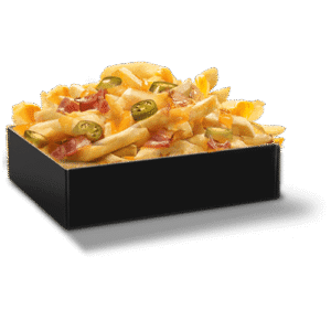 frite cheddar et japanese (copie)